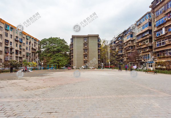秦川社区28街坊24幢10201室