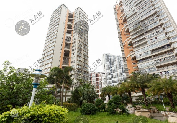 金港盛世华庭6栋8F房产（不包括室内物品）